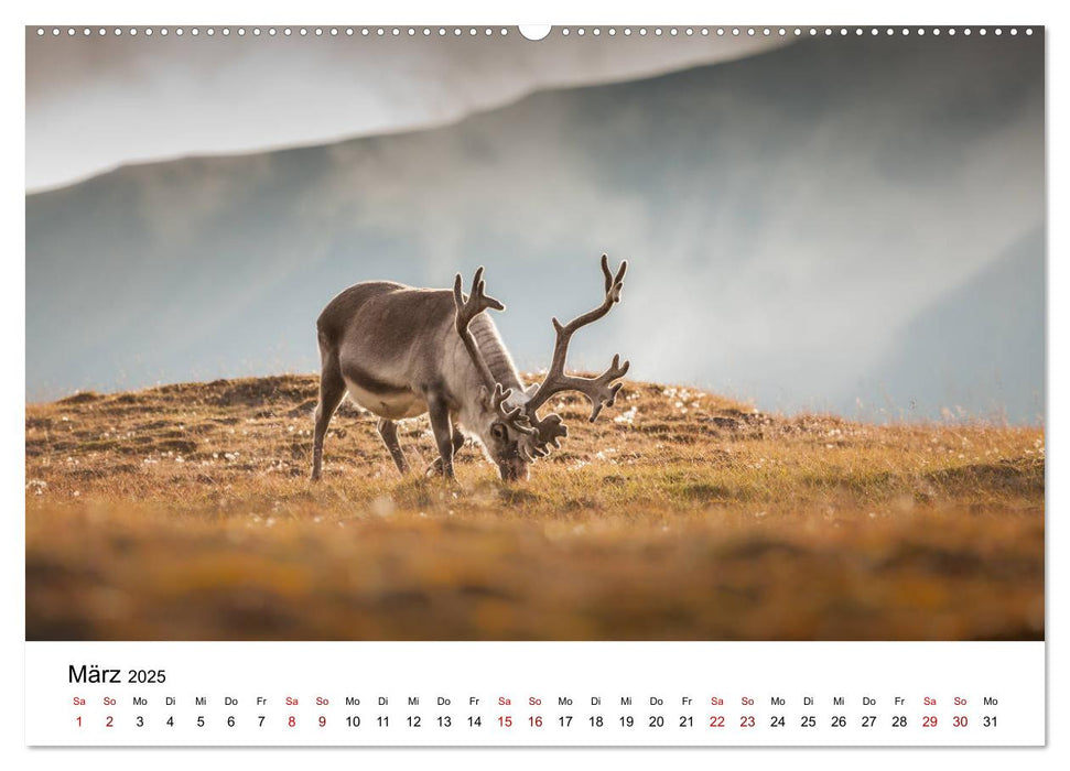 Spitzbergenkalender (CALVENDO Premium Wandkalender 2025)