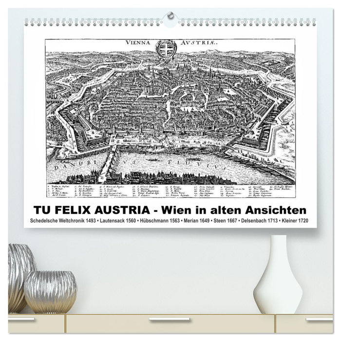 TU FELIX AUSTRIA - Wien in alten Ansichten (CALVENDO Premium Wandkalender 2025)