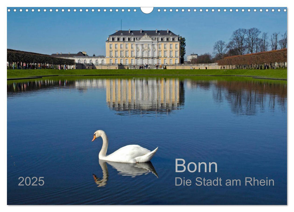 Bonn Die Stadt am Rhein (CALVENDO Wandkalender 2025)