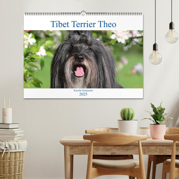 Tibet Terrier Theo (CALVENDO Wandkalender 2025)