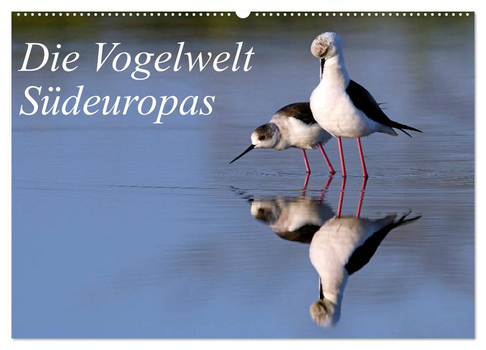 Die Vogelwelt Südeuropas (CALVENDO Wandkalender 2025)