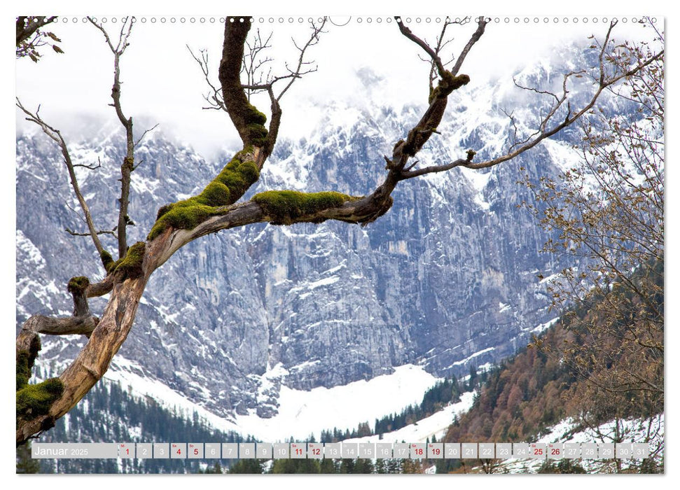 Rissbachtal & Ahornboden (CALVENDO Premium Wandkalender 2025)