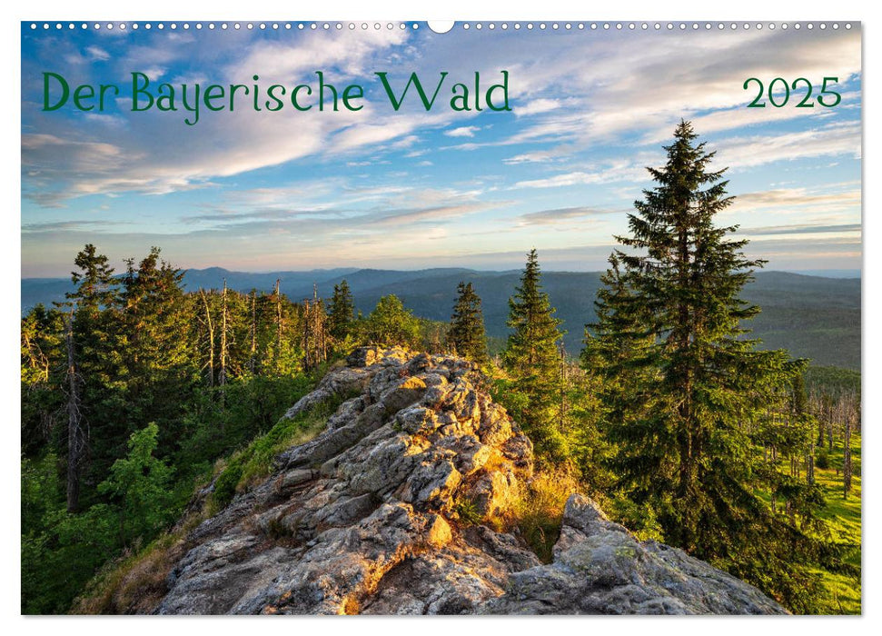 Der Bayerische Wald (CALVENDO Wandkalender 2025)