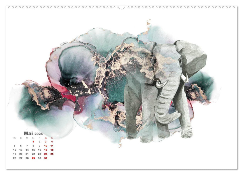 Traumhafte Tierwelt (CALVENDO Premium Wandkalender 2025)