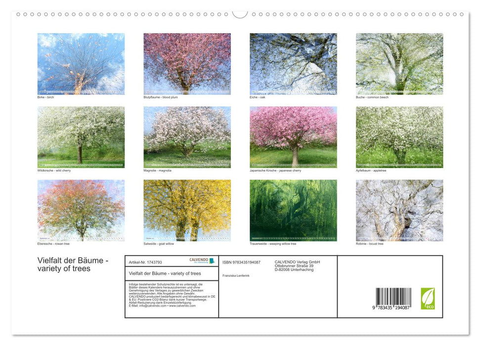 Vielfalt der Bäume - variety of trees (CALVENDO Premium Wandkalender 2025)