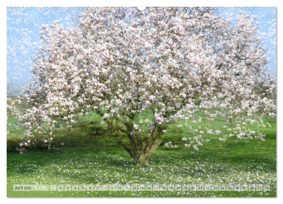 Vielfalt der Bäume - variety of trees (CALVENDO Premium Wandkalender 2025)