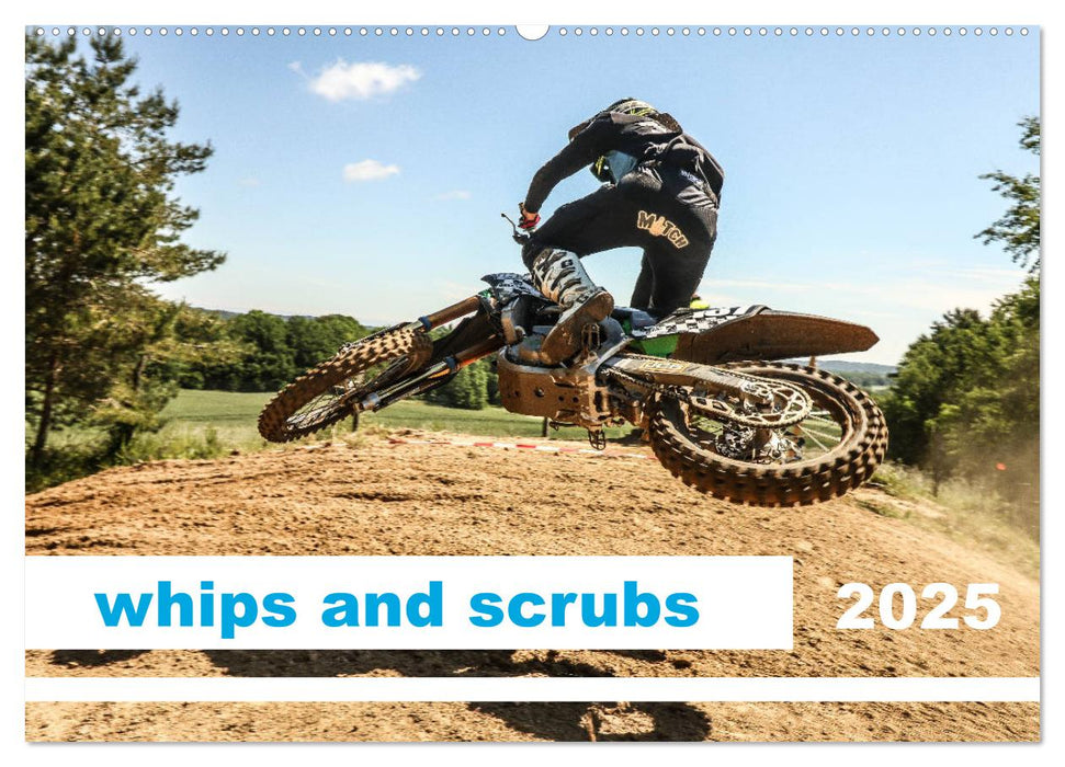 whips and scrubs (CALVENDO Wandkalender 2025)