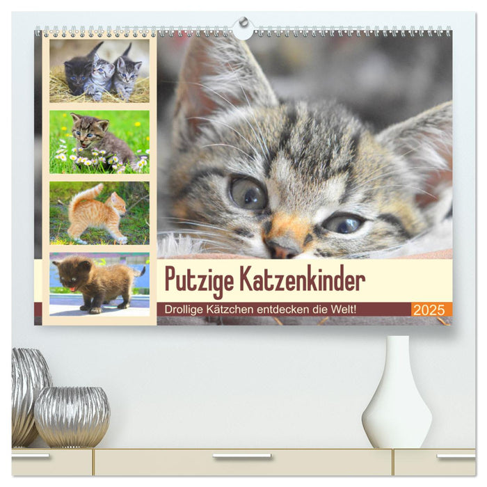 Putzige Katzenkinder. Drollige Kätzchen entdecken die Welt! (CALVENDO Premium Wandkalender 2025)