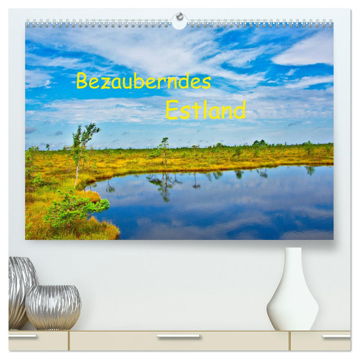 Bezauberndes Estland (CALVENDO Premium Wandkalender 2025)