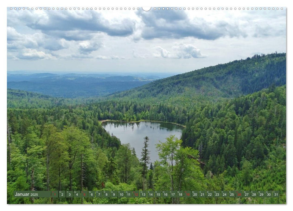 Wandererlebnisse im Bayrischen Wald (CALVENDO Wandkalender 2025)