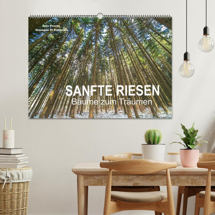 Sanfte Riesen - Bäume zum Träumen (CALVENDO Wandkalender 2025)