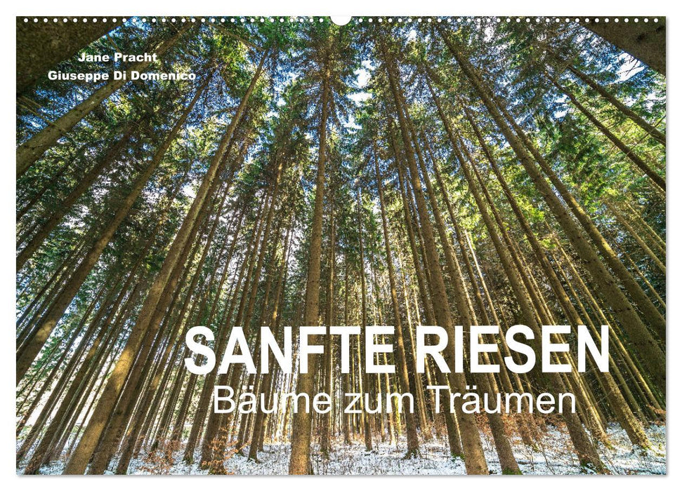 Sanfte Riesen - Bäume zum Träumen (CALVENDO Wandkalender 2025)