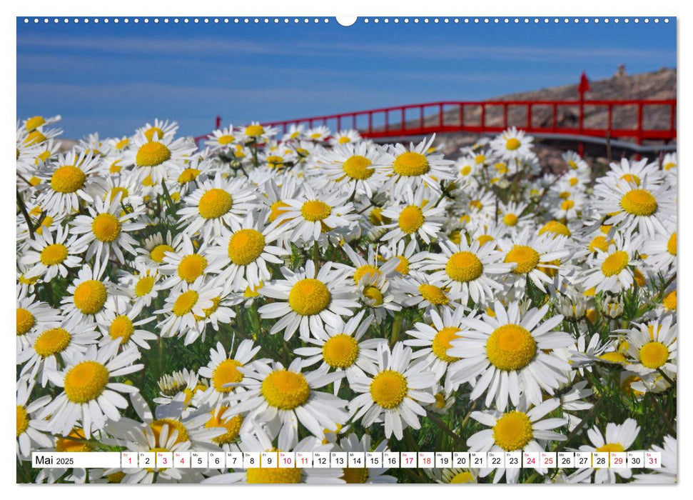 Grönland - Wildes, weites Land (CALVENDO Premium Wandkalender 2025)