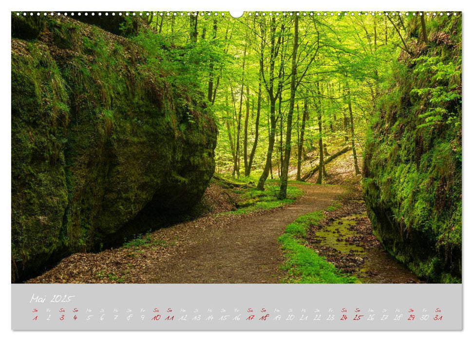 Thüringer Wald Das Grüne Herz Deutschlands (CALVENDO Wandkalender 2025)