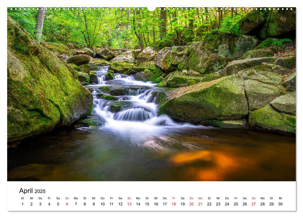 Deutschlands Landschaften - Vom Meer bis zu den Alpen (CALVENDO Premium Wandkalender 2025)