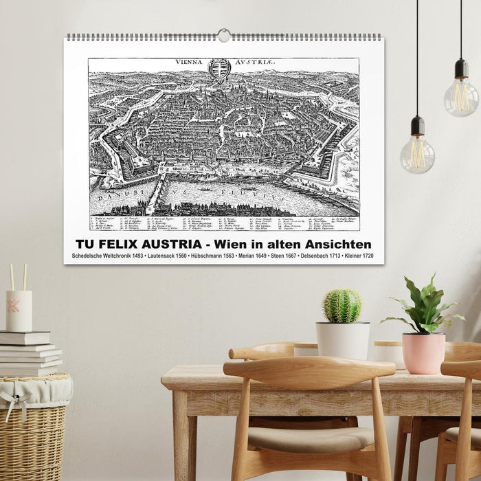 TU FELIX AUSTRIA - Wien in alten Ansichten (CALVENDO Wandkalender 2025)