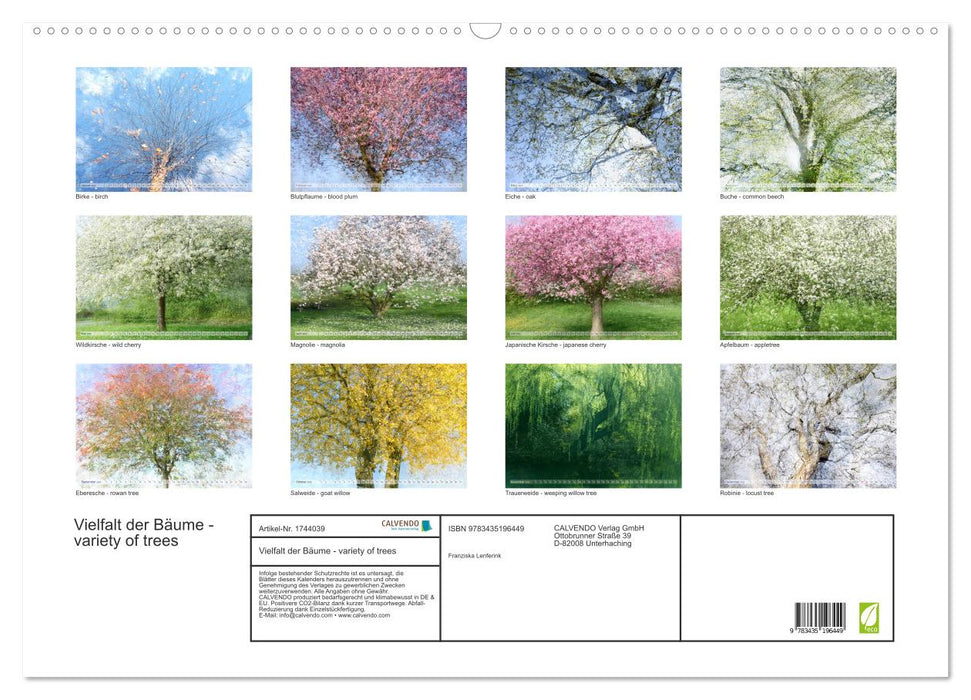 Vielfalt der Bäume - variety of trees (CALVENDO Wandkalender 2025)