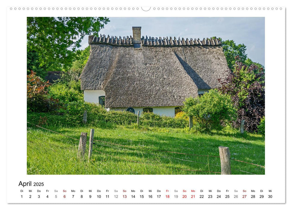 Schleswig und die Schlei - von Schloss Gottorf bis Schleimünde (CALVENDO Premium Wandkalender 2025)