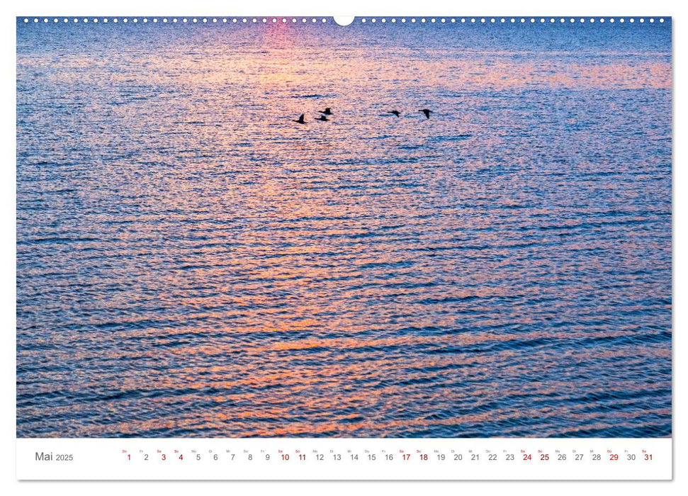 LICHT & MEER (CALVENDO Wandkalender 2025)