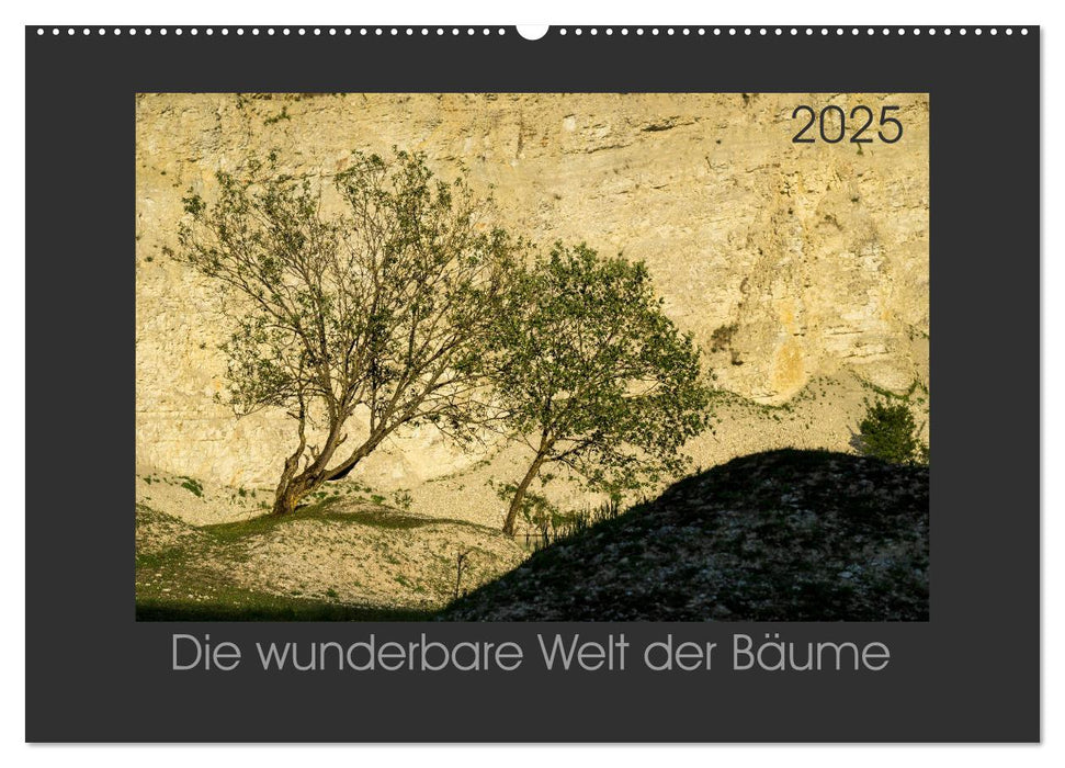 Bäume quer (CALVENDO Wandkalender 2025)