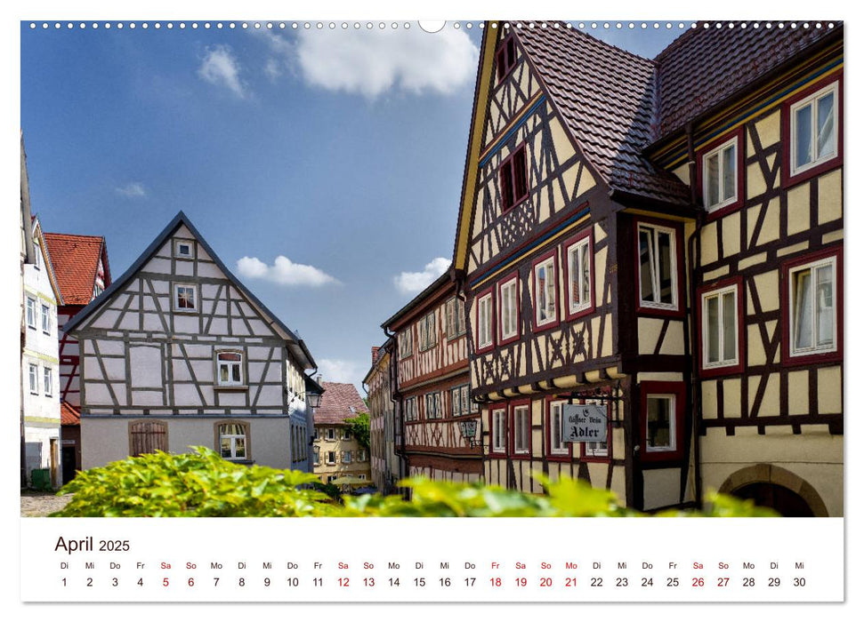 Bad Wimpfen. (CALVENDO Premium Wandkalender 2025)