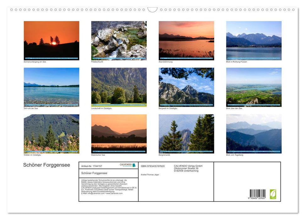 Schöner Forggensee (CALVENDO Wandkalender 2025)