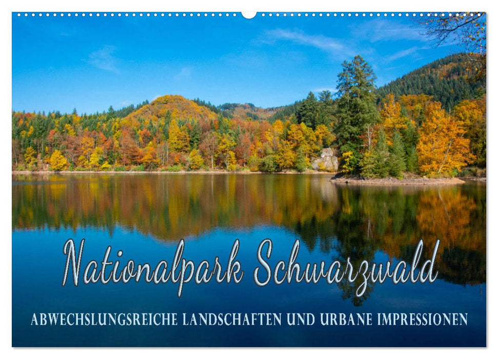 Nationalpark Schwarzwald – abwechslungsreiche Landschaften und urbane Impressionen (CALVENDO Wandkalender 2025)