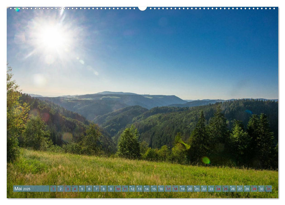 Nationalpark Schwarzwald – abwechslungsreiche Landschaften und urbane Impressionen (CALVENDO Wandkalender 2025)