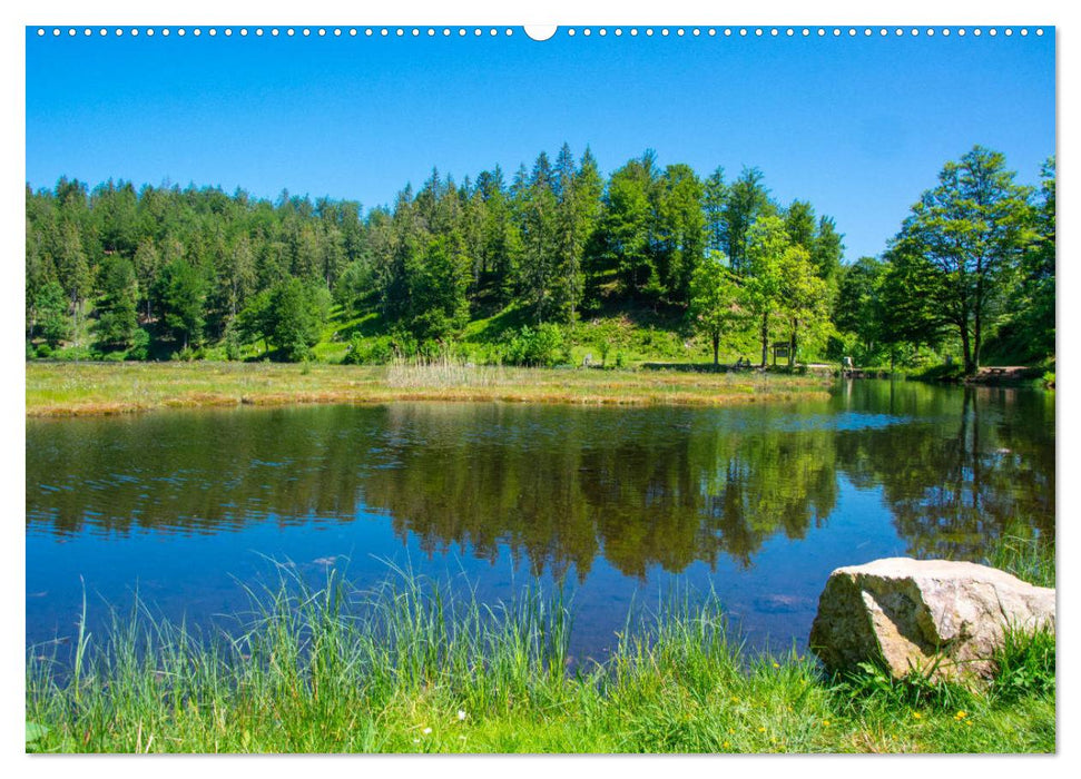 Nationalpark Schwarzwald – abwechslungsreiche Landschaften und urbane Impressionen (CALVENDO Wandkalender 2025)