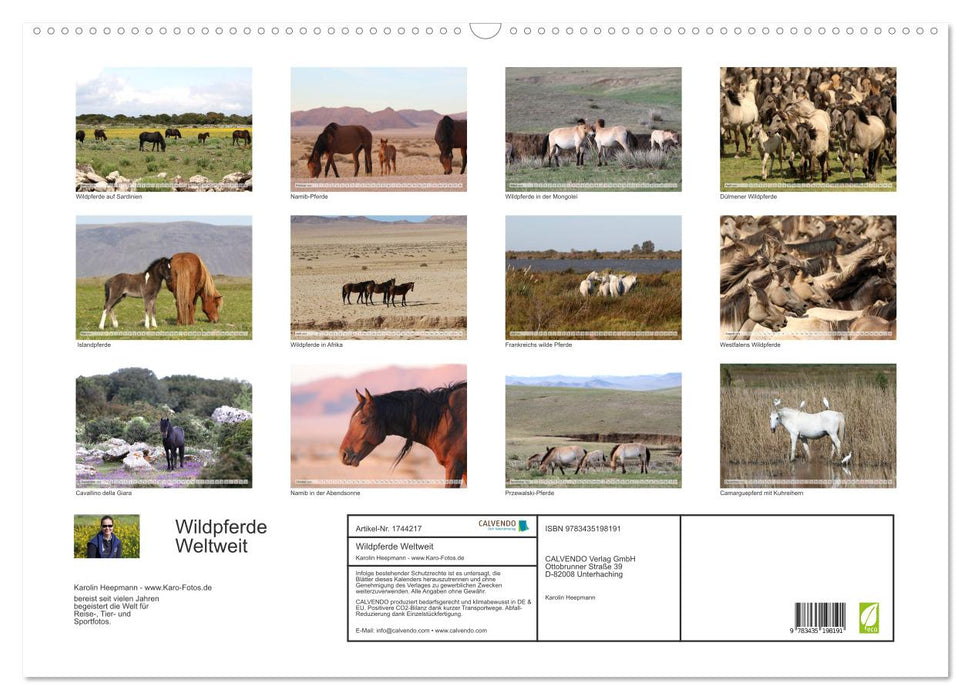 Wildpferde Weltweit (CALVENDO Wandkalender 2025)