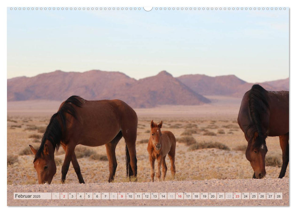 Wildpferde Weltweit (CALVENDO Wandkalender 2025)