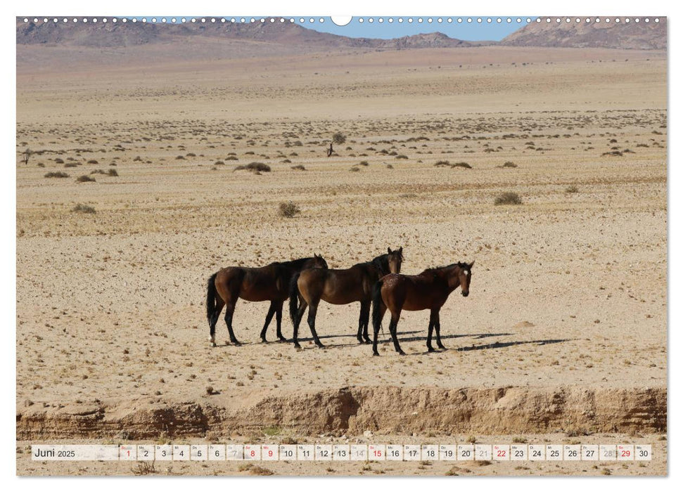 Wildpferde Weltweit (CALVENDO Wandkalender 2025)