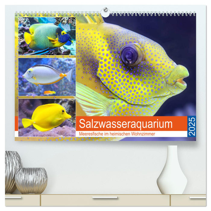 Salzwasseraquarium. Meeresfische im heimischen Wohnzimmer (CALVENDO Premium Wandkalender 2025)