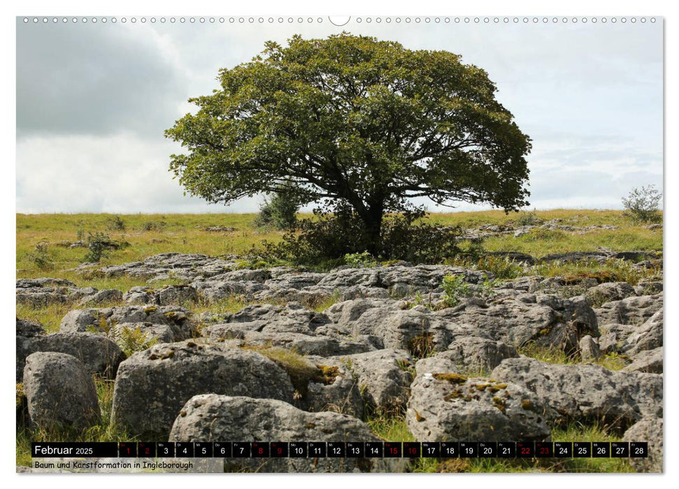 Traumhafte Yorkshire Dales (CALVENDO Premium Wandkalender 2025)