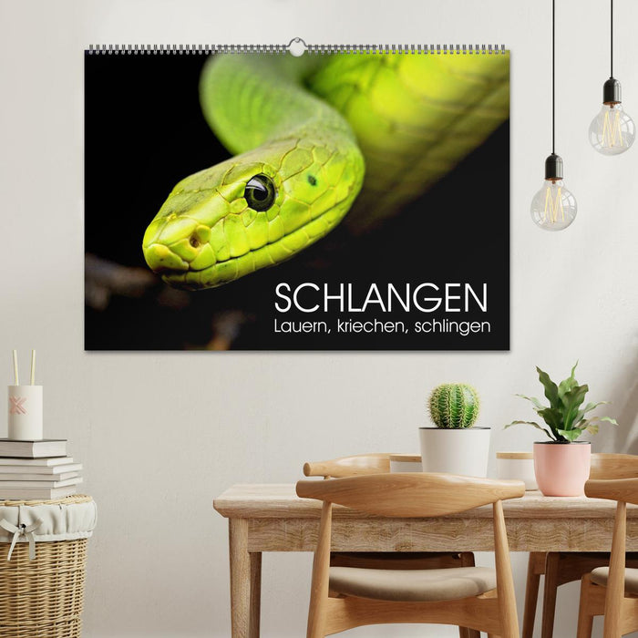 Schlangen. Lauern, kriechen, schlingen (CALVENDO Wandkalender 2025)