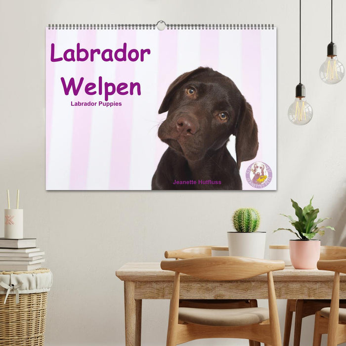 Labrador Welpen - Labrador Puppies (CALVENDO Wandkalender 2025)