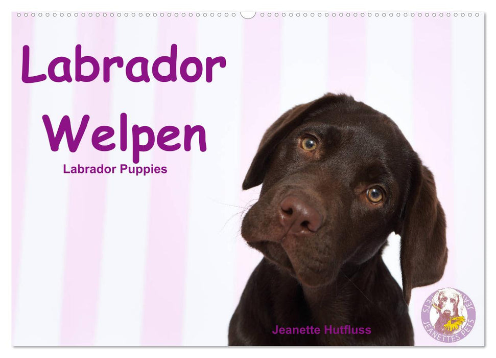 Labrador Welpen - Labrador Puppies (CALVENDO Wandkalender 2025)