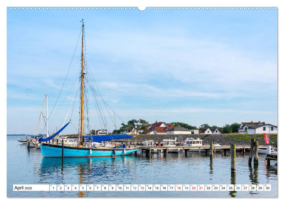 Schiff und Segel - HIDDENSEE (CALVENDO Premium Wandkalender 2025)