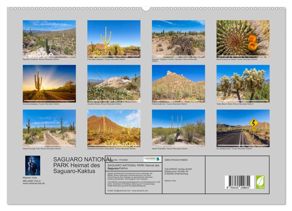 SAGUARO NATIONAL PARK Heimat des Saguaro-Kaktus (CALVENDO Premium Wandkalender 2025)