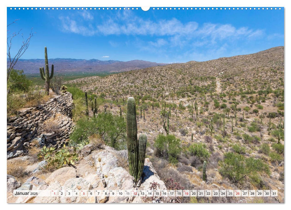 SAGUARO NATIONAL PARK Heimat des Saguaro-Kaktus (CALVENDO Premium Wandkalender 2025)