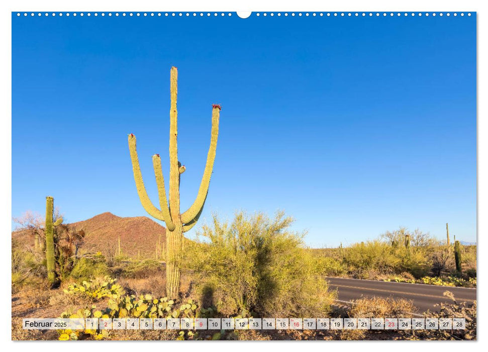 SAGUARO NATIONAL PARK Heimat des Saguaro-Kaktus (CALVENDO Premium Wandkalender 2025)