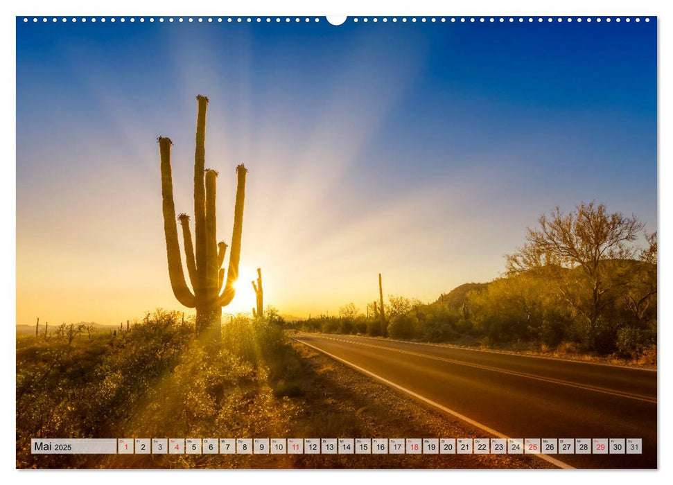 SAGUARO NATIONAL PARK Heimat des Saguaro-Kaktus (CALVENDO Premium Wandkalender 2025)