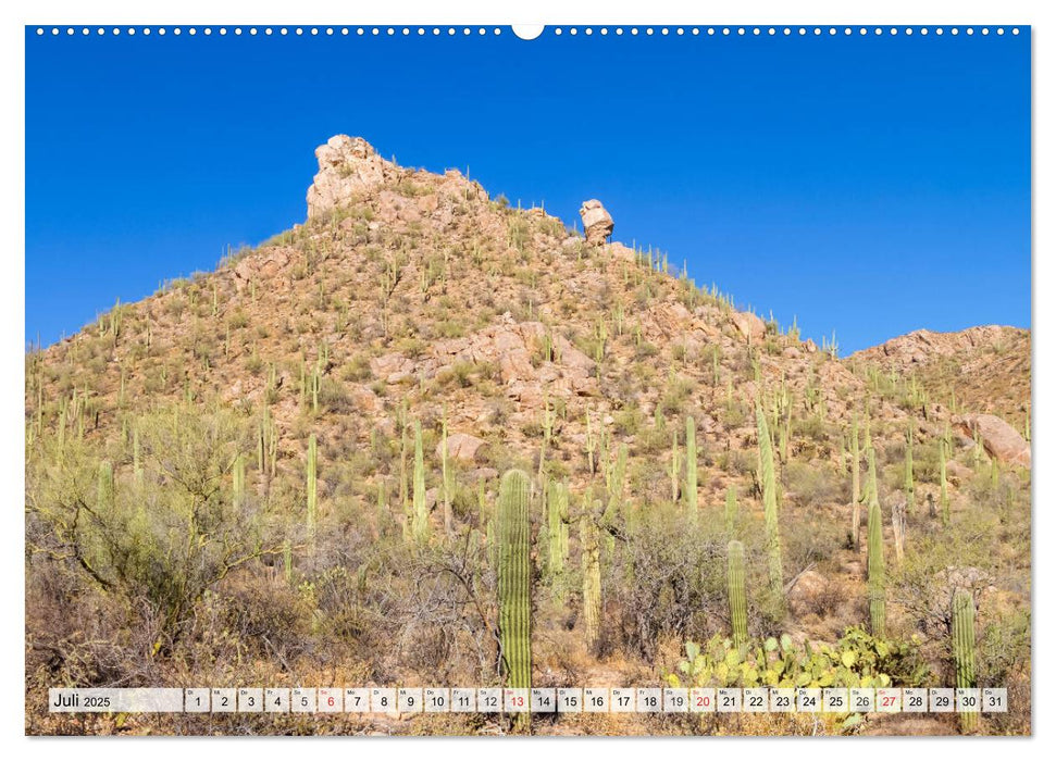 SAGUARO NATIONAL PARK Heimat des Saguaro-Kaktus (CALVENDO Premium Wandkalender 2025)