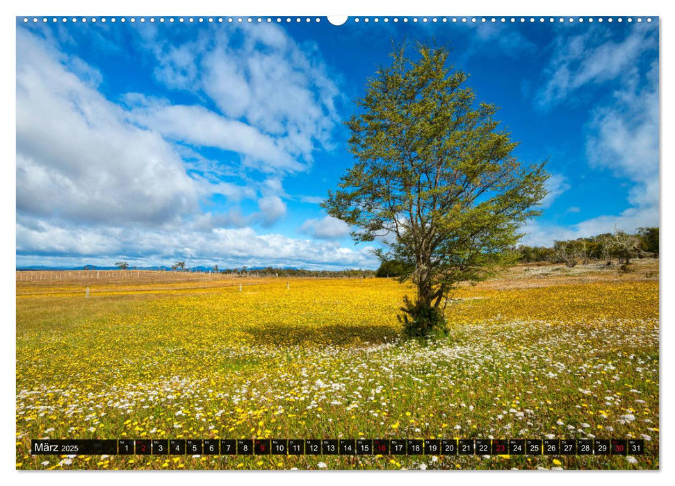 Patagonien und Feuerland (CALVENDO Premium Wandkalender 2025)