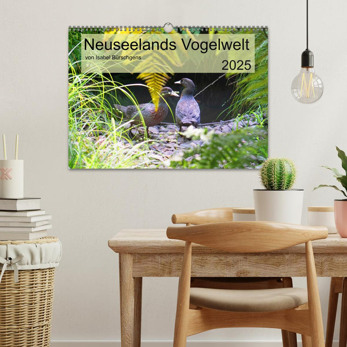 Neuseelands Vogelwelt (CALVENDO Wandkalender 2025)