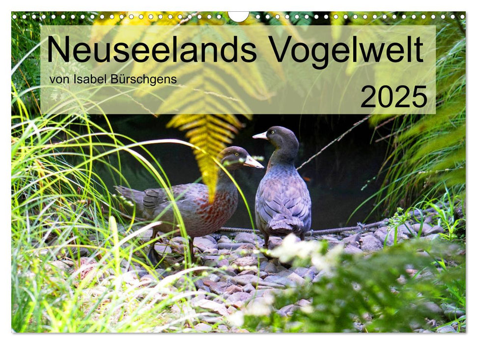 Neuseelands Vogelwelt (CALVENDO Wandkalender 2025)