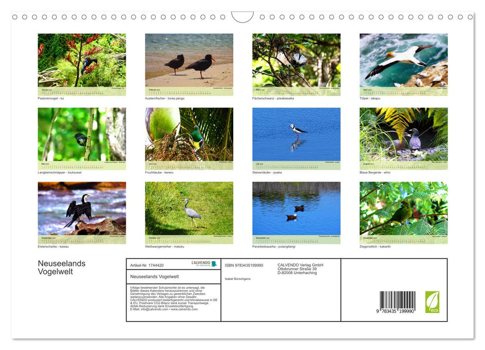 Neuseelands Vogelwelt (CALVENDO Wandkalender 2025)