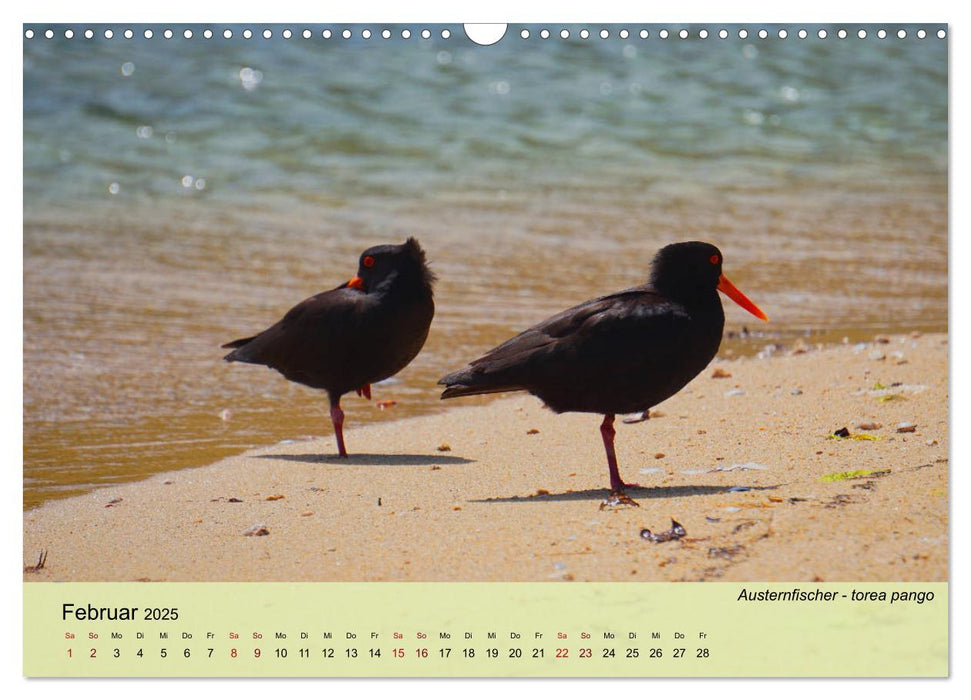 Neuseelands Vogelwelt (CALVENDO Wandkalender 2025)