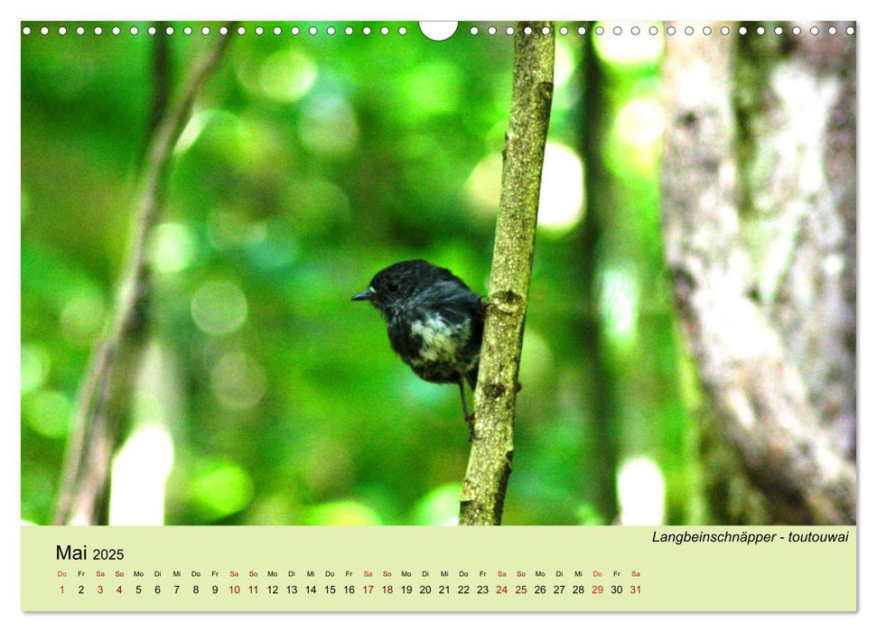 Neuseelands Vogelwelt (CALVENDO Wandkalender 2025)