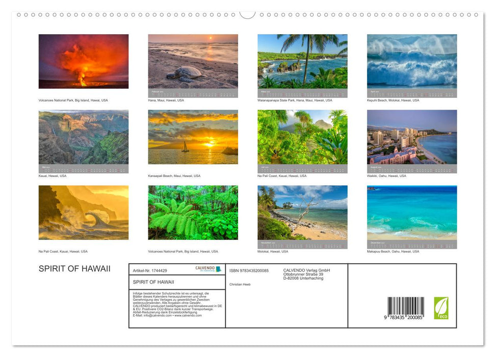 SPIRIT OF HAWAII (CALVENDO Premium Wandkalender 2025)